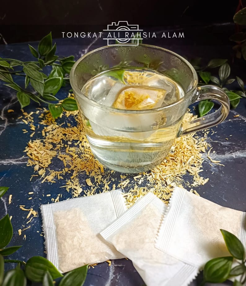 Tongkat Ali Asli Dari Malaya 30 Uncang